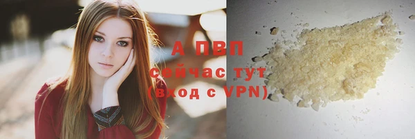 стафф Нефтегорск
