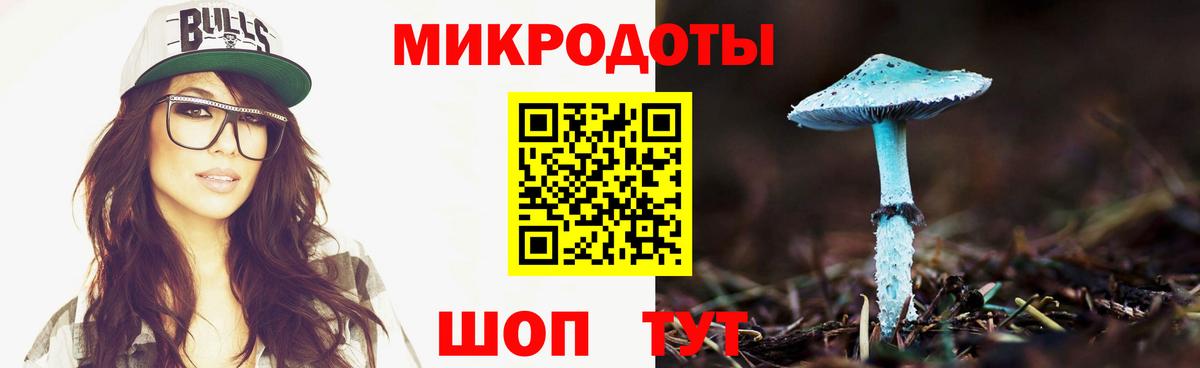 продажа наркотиков  Псилоцибиновые грибы Cubensis  Вход с VPN  Семилуки  Псилоцибиновые грибы Psilocybine cubensis 